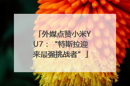 外媒点赞小米YU7：“特斯拉迎来最强挑战者”