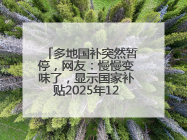多地国补突然暂停，网友：慢慢变味了，显示国家补贴2025年12月31日结束