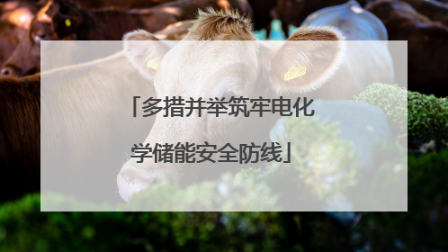 多措并举筑牢电化学储能安全防线