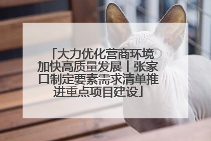 大力优化营商环境 加快高质量发展丨张家口制定要素需求清单推进重点项目建设