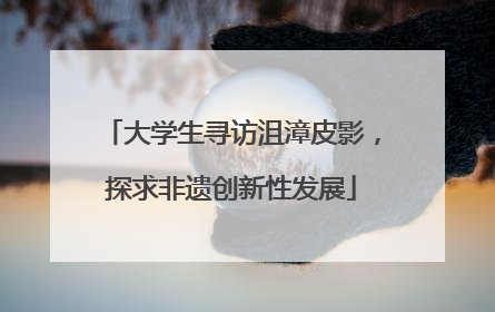 大学生寻访沮漳皮影，探求非遗创新性发展