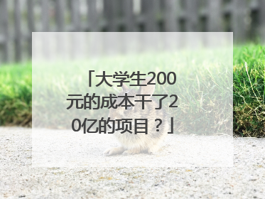 大学生200元的成本干了20亿的项目？
