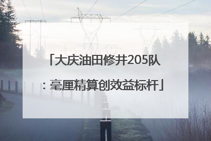 大庆油田修井205队：毫厘精算创效益标杆