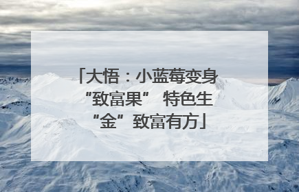 大悟：小蓝莓变身“致富果” 特色生“金”致富有方