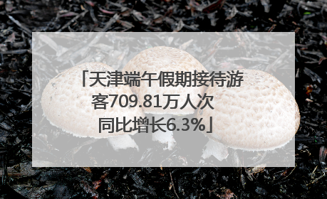 天津端午假期接待游客709.81万人次 同比增长6.3%