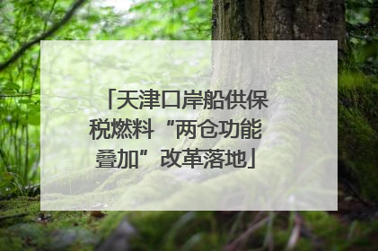 天津口岸船供保税燃料“两仓功能叠加”改革落地