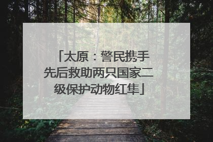 太原：警民携手 先后救助两只国家二级保护动物红隼