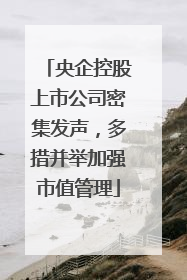 央企控股上市公司密集发声，多措并举加强市值管理