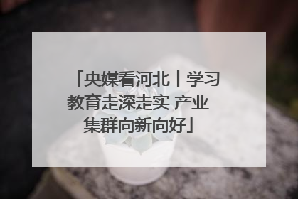 央媒看河北丨学习教育走深走实 产业集群向新向好