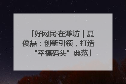 好网民·在潍坊｜夏俊磊：创新引领，打造“幸福码头”典范