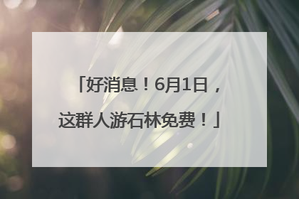 好消息！6月1日，这群人游石林免费！