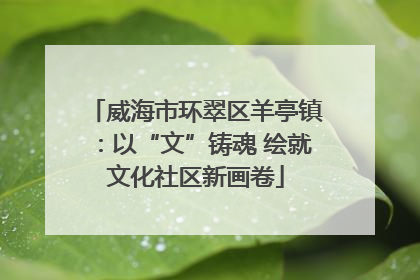 威海市环翠区羊亭镇：以“文”铸魂 绘就文化社区新画卷