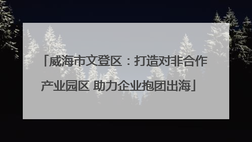 威海市文登区：打造对非合作产业园区 助力企业抱团出海