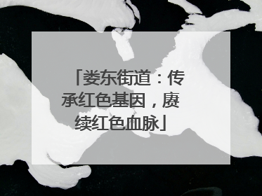 娄东街道：传承红色基因，赓续红色血脉