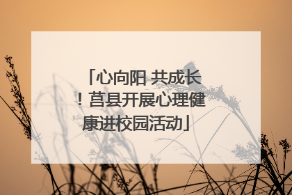 心向阳 共成长！莒县开展心理健康进校园活动