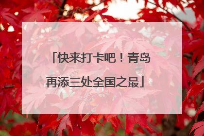 快来打卡吧！青岛再添三处全国之最