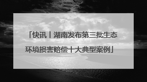 快讯丨湖南发布第三批生态环境损害赔偿十大典型案例