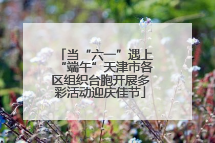 当“六一”遇上“端午”天津市各区组织台胞开展多彩活动迎庆佳节