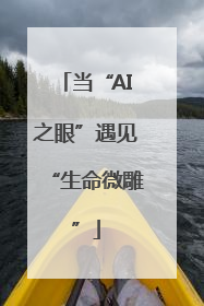 当“AI之眼”遇见“生命微雕”