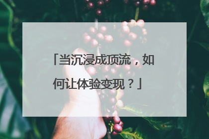 当沉浸成顶流，如何让体验变现？
