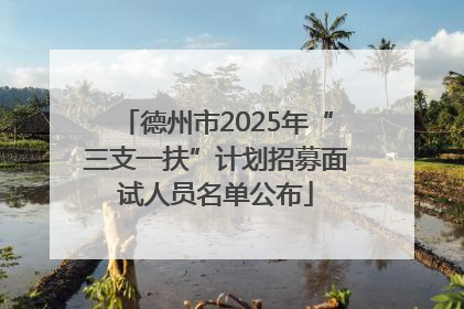 德州市2025年“三支一扶”计划招募面试人员名单公布
