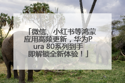 微信、小红书等鸿蒙应用高频更新，华为Pura 80系列到手即解锁全新体验！