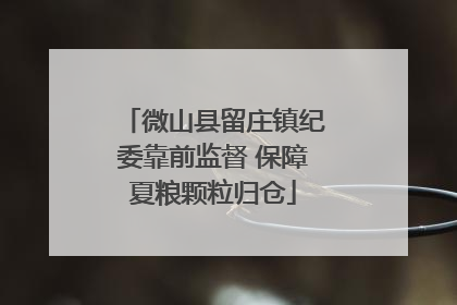 微山县留庄镇纪委靠前监督 保障夏粮颗粒归仓