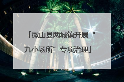 微山县两城镇开展“九小场所”专项治理