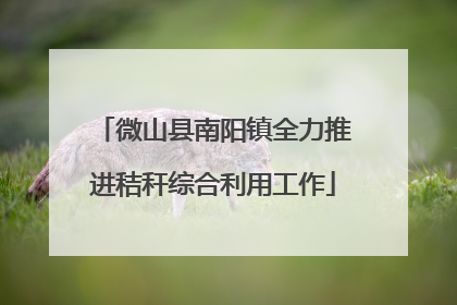微山县南阳镇全力推进秸秆综合利用工作