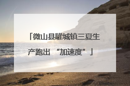 微山县驩城镇三夏生产跑出 “加速度”