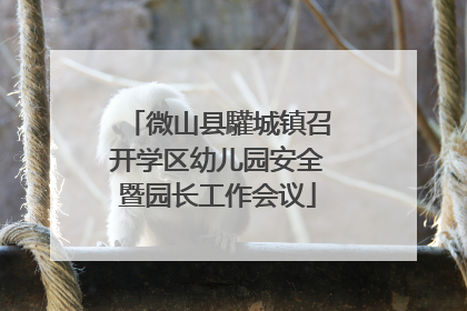 微山县驩城镇召开学区幼儿园安全暨园长工作会议