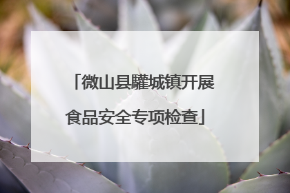 微山县驩城镇开展食品安全专项检查