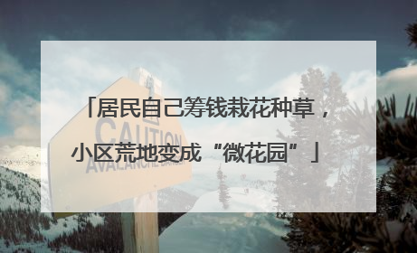 居民自己筹钱栽花种草，小区荒地变成“微花园”