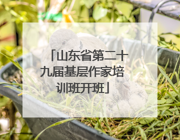 山东省第二十九届基层作家培训班开班