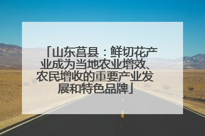 山东莒县：鲜切花产业成为当地农业增效、农民增收的重要产业发展和特色品牌