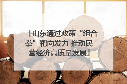 山东通过政策“组合拳”靶向发力 推动民营经济高质量发展