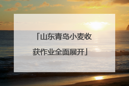 山东青岛小麦收获作业全面展开