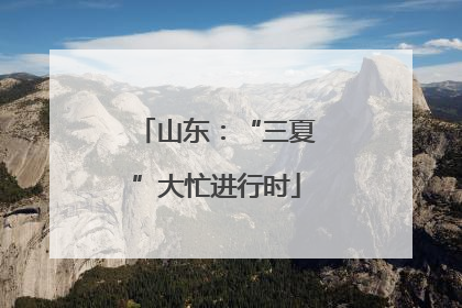 山东：“三夏”大忙进行时