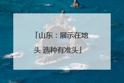 山东：展示在地头 选种有准头