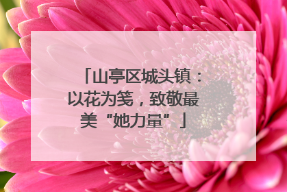 山亭区城头镇：以花为笺，致敬最美“她力量”