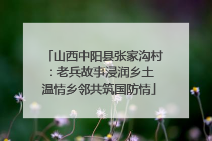 山西中阳县张家沟村：老兵故事浸润乡土 温情乡邻共筑国防情