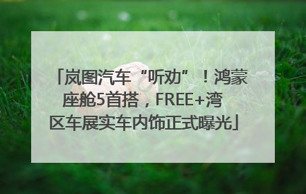 岚图汽车“听劝”！鸿蒙座舱5首搭，FREE+湾区车展实车内饰正式曝光