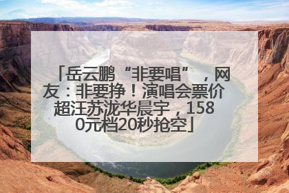 岳云鹏“非要唱”，网友：非要挣！演唱会票价超汪苏泷华晨宇，1580元档20秒抢空