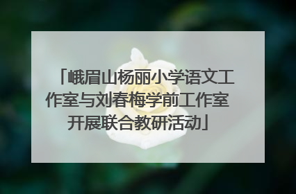 峨眉山杨丽小学语文工作室与刘春梅学前工作室开展联合教研活动