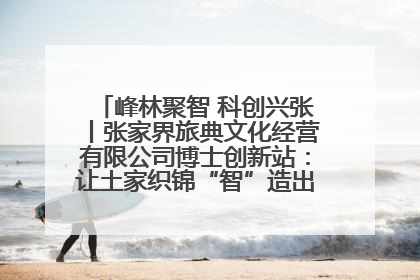 峰林聚智 科创兴张丨张家界旅典文化经营有限公司博士创新站：让土家织锦“智”造出非遗新传奇