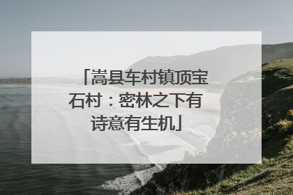嵩县车村镇顶宝石村：密林之下有诗意有生机