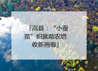 嵩县：“小蚕茧”织就助农增收新画卷