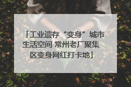 工业遗存“变身”城市生活空间 常州老厂聚集区变身网红打卡地