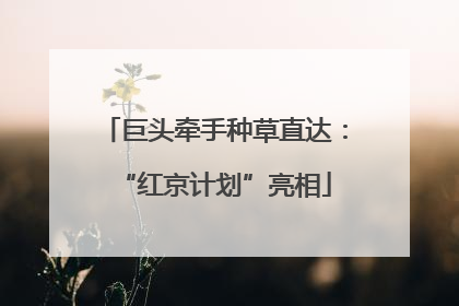 巨头牵手种草直达：“红京计划”亮相