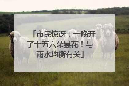 市民惊讶：一晚开了十五六朵昙花！与雨水均衡有关